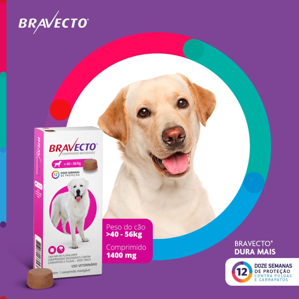 Encontraproduto.com.br - Bravecto Cães 40 a 56kg 1400mg MSD Antipulgas e Carrapatos