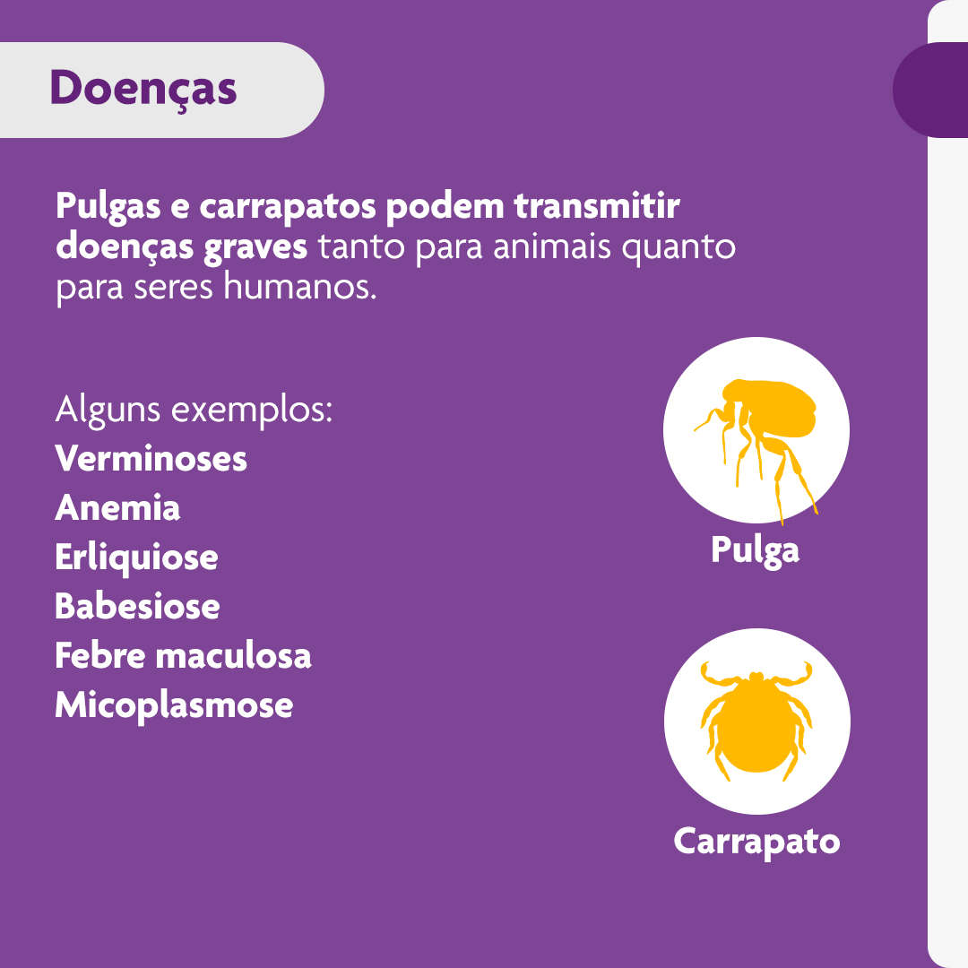 Encontraproduto.com.br - Bravecto Cães 40 a 56kg 1400mg MSD Antipulgas e Carrapatos
