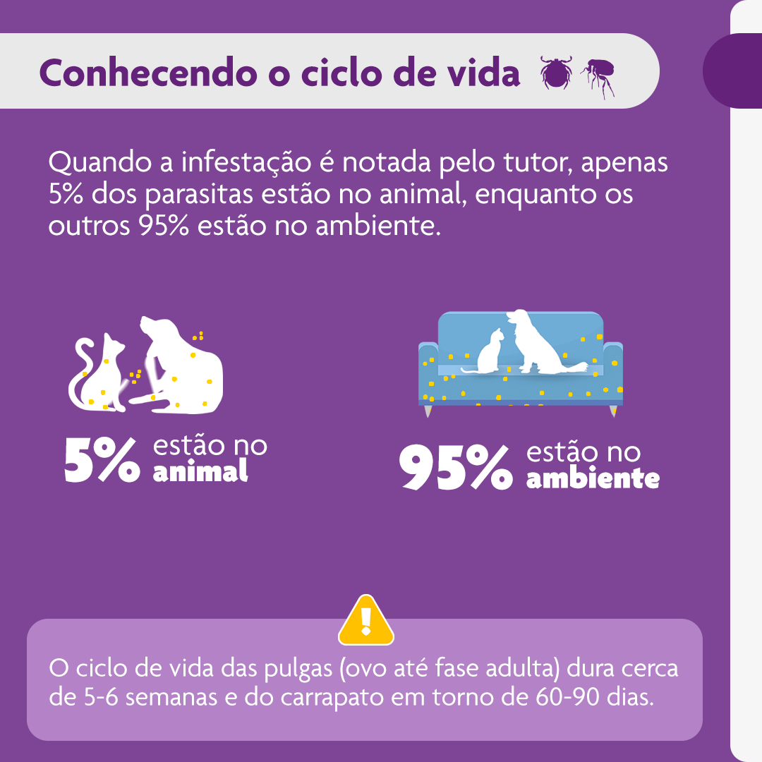 Encontraproduto.com.br - Bravecto Cães 40 a 56kg 1400mg MSD Antipulgas e Carrapatos