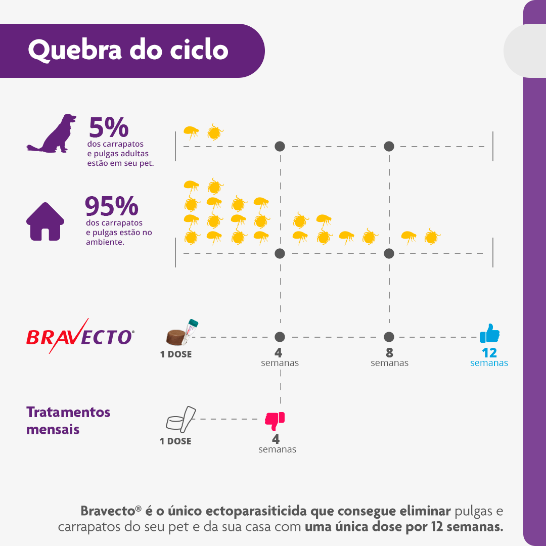 Encontraproduto.com.br - Bravecto Cães 40 a 56kg 1400mg MSD Antipulgas e Carrapatos