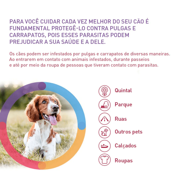 Encontraproduto.com.br - Bravecto Transdermal Cães 40 a 56kg 5ml MSD Antipulgas