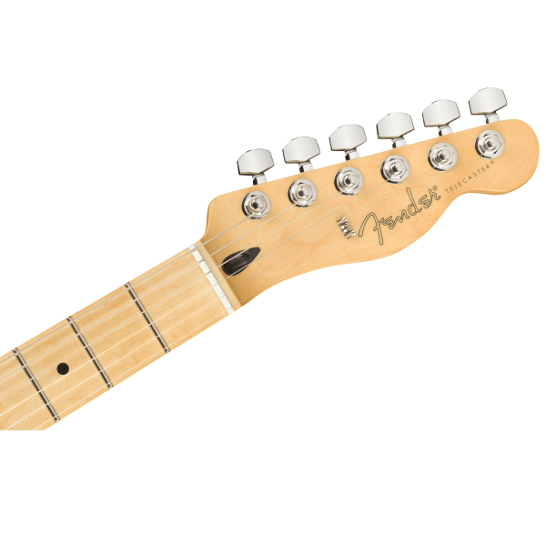Encontraproduto.com.br - Guitarra Player Telecaster MN BTB - Fender