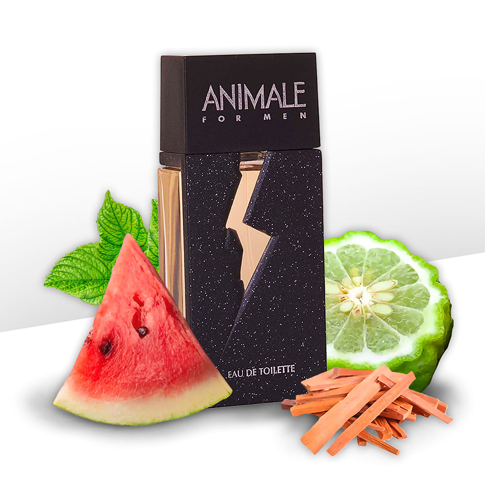 Encontraproduto.com.br - Animale For Men Eau de Toilette - Perfume Masculino