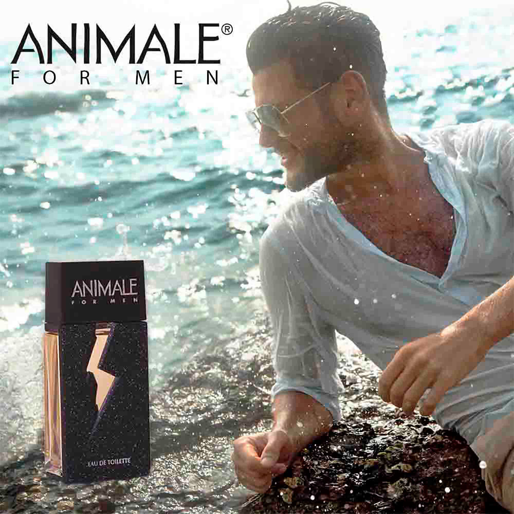 Encontraproduto.com.br - Animale For Men Eau de Toilette - Perfume Masculino