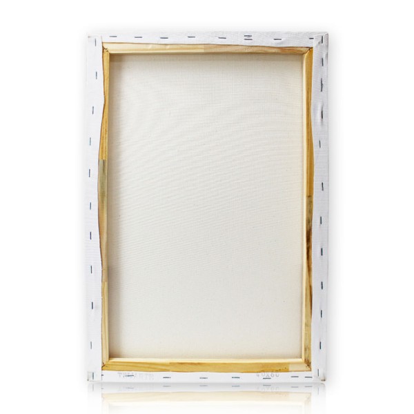 Encontraproduto.com.br - Tela Branca Pintura De Algodão Tratado Chassis Simples Telarte - 30cm x 50cm