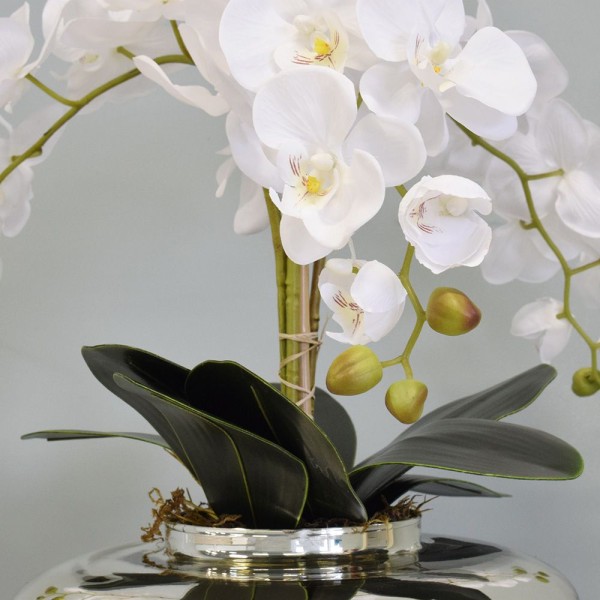 Encontraproduto.com.br - Arranjo com Três Orquídeas Brancas no Vaso Terrário Prateado | Formosinha
