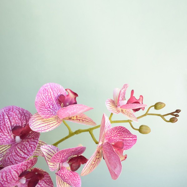 Encontraproduto.com.br - Arranjo de Orquídea Artificial Rosa no Vaso Vidro | Formosinha