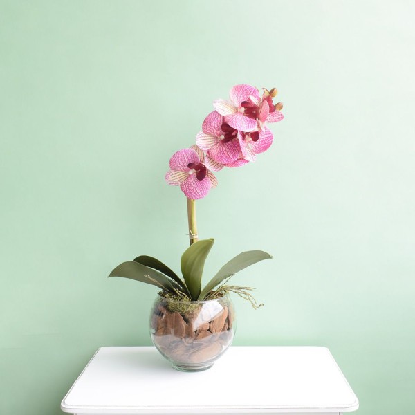 Encontraproduto.com.br - Arranjo Artificial de Orquídea Rosa 3d no Vaso de Vidro Pequeno | Formosinha