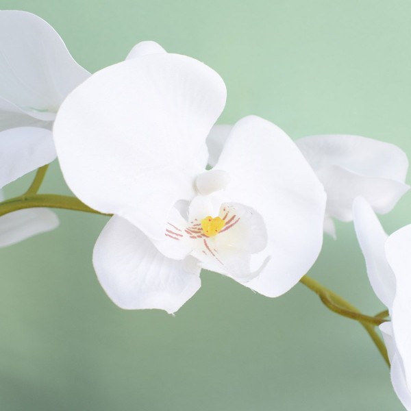 Encontraproduto.com.br - Arranjo com Três Orquídeas Artificiais no Vaso de Vidro | Formosinha
