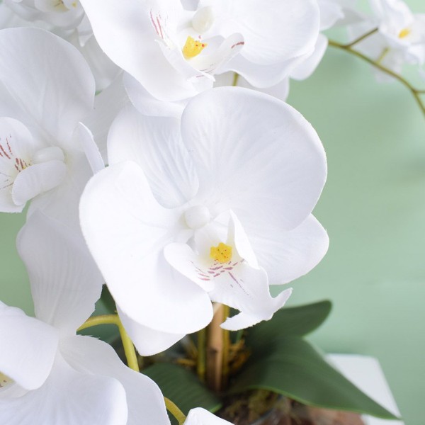Encontraproduto.com.br - Arranjo com Três Orquídeas Artificiais no Vaso de Vidro | Formosinha