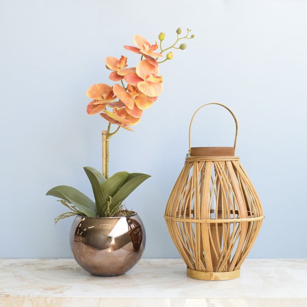 Arranjo de Orquídea Laranja 3D no Áquario M Wood
