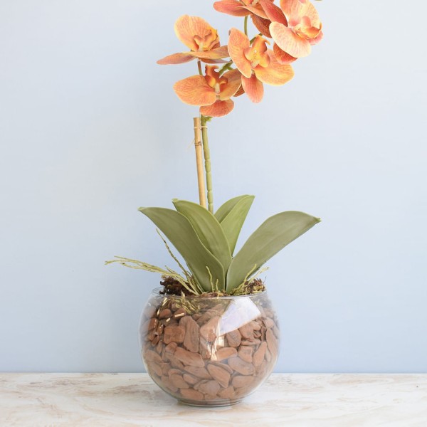 Encontraproduto.com.br - Arranjo de Orquídea Laranja 3d no Vaso de Vidro Médio