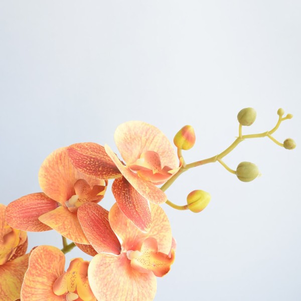 Encontraproduto.com.br - Arranjo de Orquídea Laranja 3d no Vaso de Vidro Médio