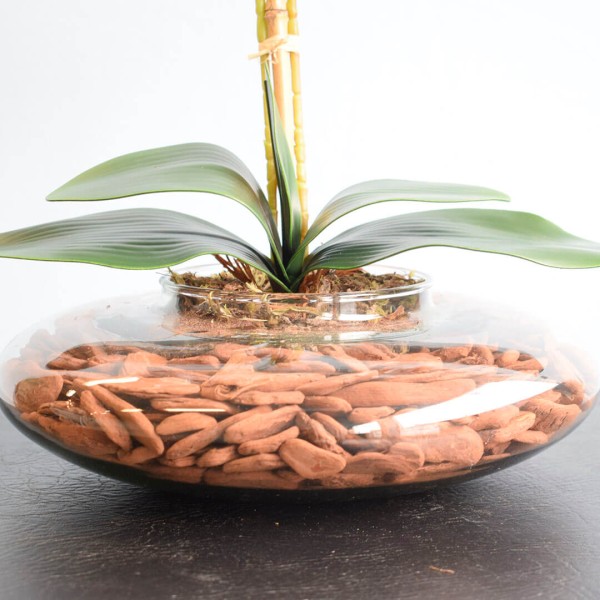 Encontraproduto.com.br - Arranjo Duas Orquídeas Artificiais Tigre no Vaso de Vidro | Formosinha