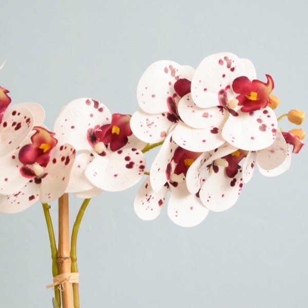 Encontraproduto.com.br - Arranjo Duas Orquídeas Artificiais Tigre no Vaso de Vidro | Formosinha