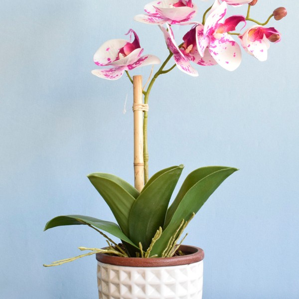 Encontraproduto.com.br - Arranjo Orquídea Artificial Tigre no Vaso Branco | Formosinha