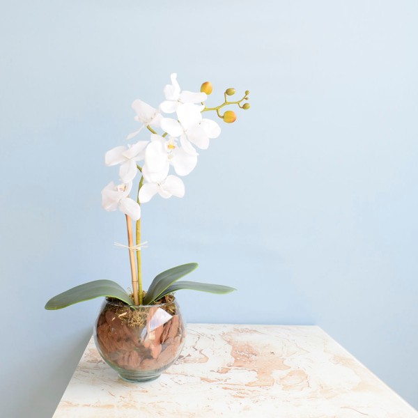 Encontraproduto.com.br - Arranjo Orquídea Artificial Branca no Vaso de Vidro P | Formosinha