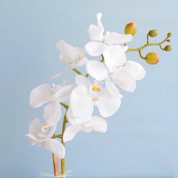 Encontraproduto.com.br - Arranjo Orquídea Artificial Branca no Vaso de Vidro P | Formosinha