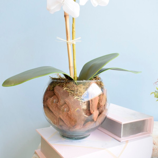 Encontraproduto.com.br - Arranjo Orquídea Artificial Branca no Vaso de Vidro P | Formosinha