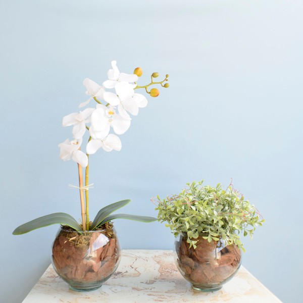 Encontraproduto.com.br - Arranjo Orquídea Artificial Branca no Vaso de Vidro P | Formosinha
