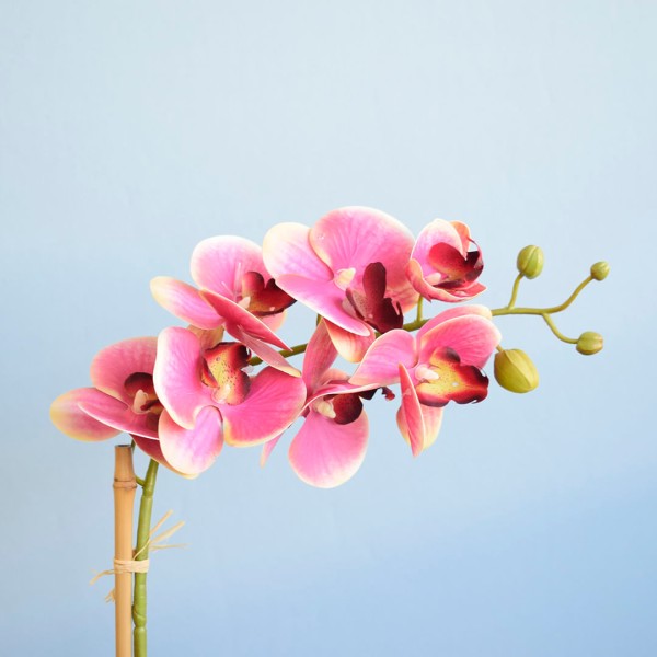 Encontraproduto.com.br - Arranjo Orquídea Rosa Artificial no Vaso de Vidro Preto | Formosinha
