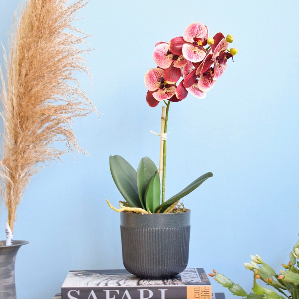 Encontraproduto.com.br - Arranjo Orquídea Artificial Coral no Vaso Preto | Formosinha