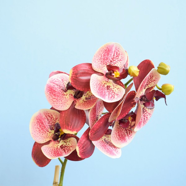 Encontraproduto.com.br - Arranjo Orquídea Artificial Coral no Vaso Preto | Formosinha