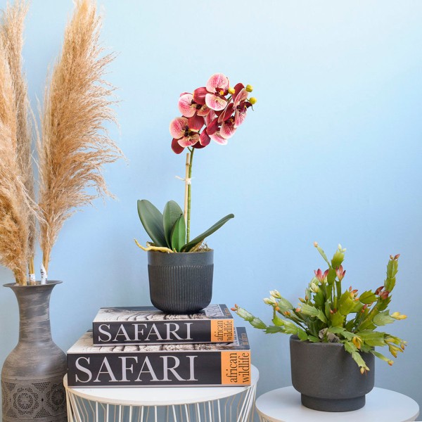 Encontraproduto.com.br - Arranjo Orquídea Artificial Coral no Vaso Preto | Formosinha