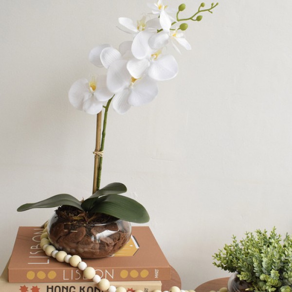 Encontraproduto.com.br - Arranjo de Orquídea Branca Artificial no Vaso de Vidro Achatado | Arranjos Formosinha