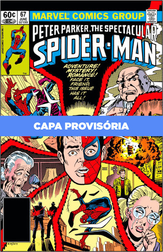 Livro - A Saga Do Homem-aranha 13 - Novo/lacrado
