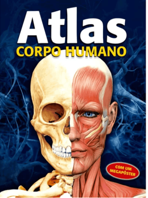 LIVRO 365 CACA PALAVRAS BATMAN 07343 CIRANDA