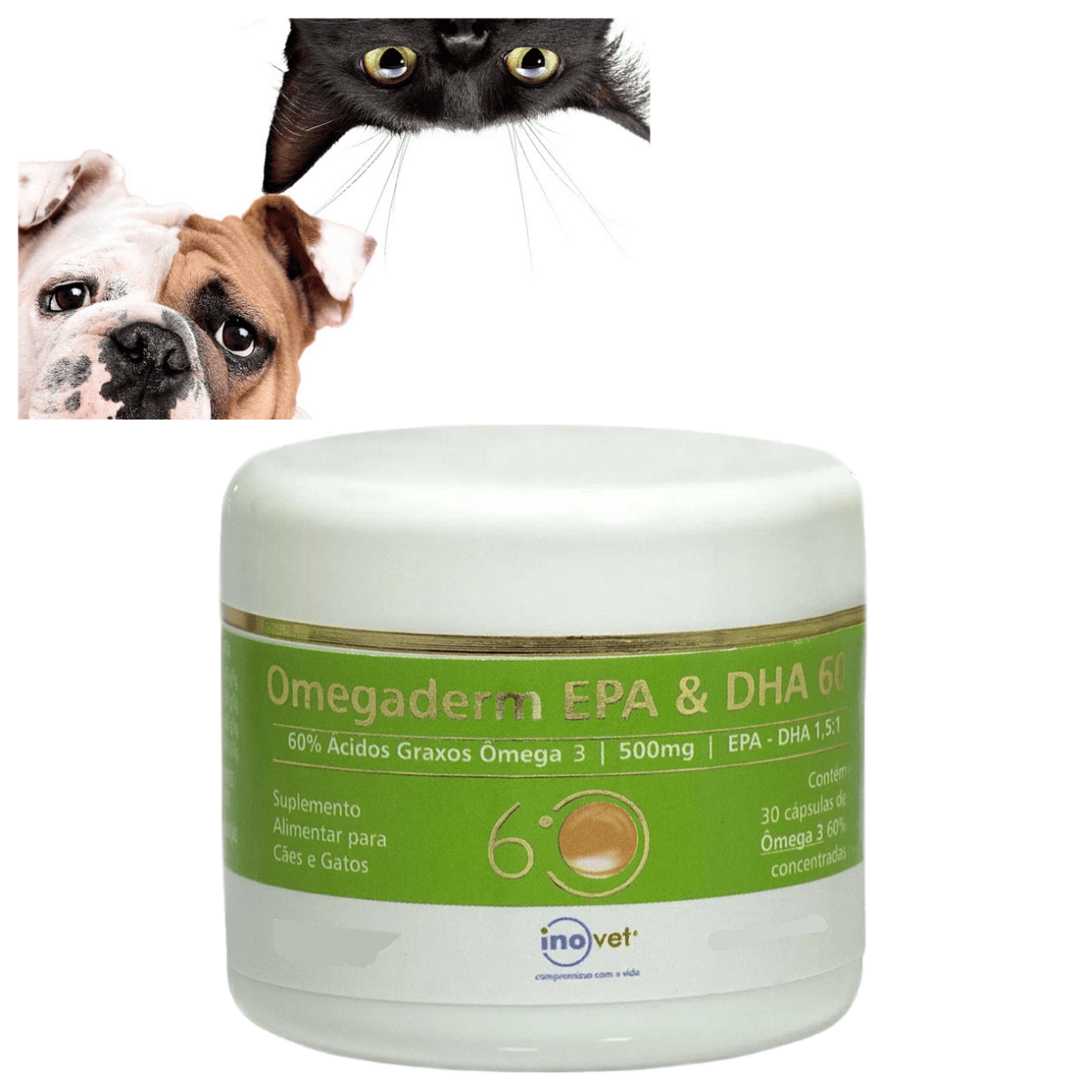 Encontraproduto.com.br - Omegaderm EPA & DHA 60 Suplemento P/ Cães e Gatos 500mg C/ 30 cáp. Inovet Kit com 3