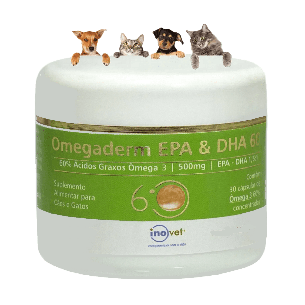 Encontraproduto.com.br - Omegaderm EPA & DHA 60 Suplemento P/ Cães e Gatos 500mg C/ 30 cáp. Inovet Kit com 3