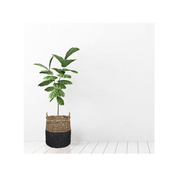 Encontraproduto.com.br - Cesto Seagrass Redondo Balki Black Com Alça 35X35cm - Yoi