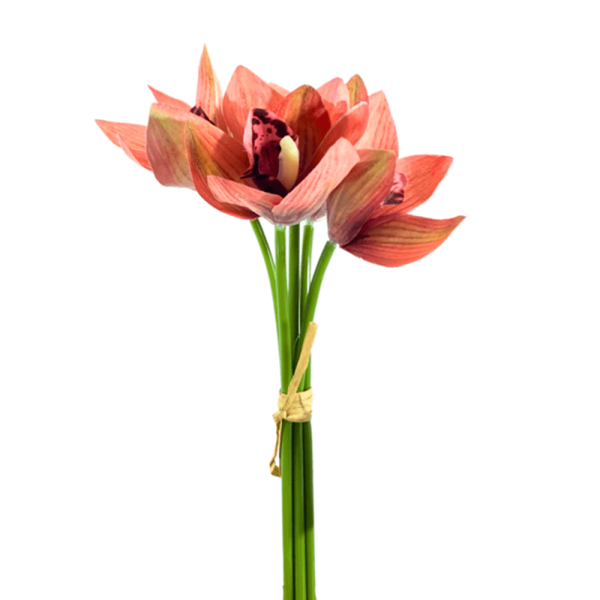 Ramalhete Cymbidium X5 Flores Laranja 22Cm - Bela Flor